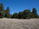 Mount Tamalpais 004